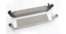 אינטרקולר חזית FORGE